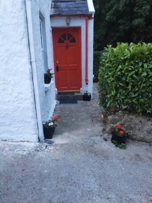 Maggie'S Cottage Thurles Exteriér fotografie
